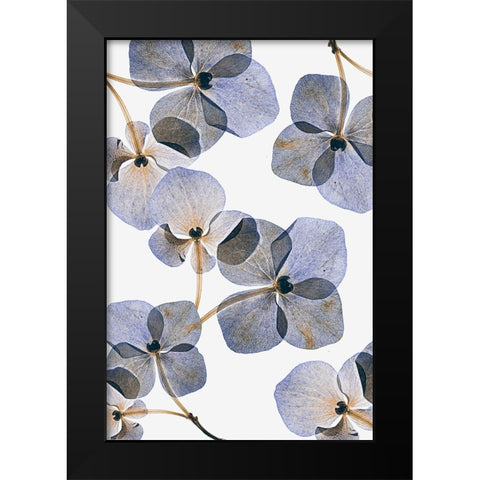 Botanical #37 Black Modern Wood Framed Art Print by Lenka