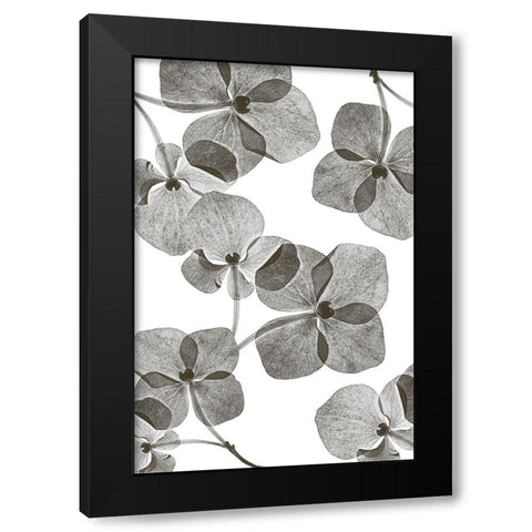 Botanical 39 Black Modern Wood Framed Art Print by Lenka