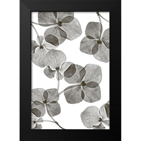 Botanical 39 Black Modern Wood Framed Art Print by Lenka