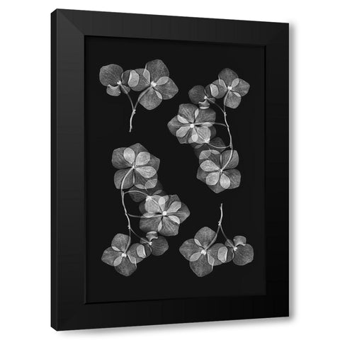 Botanical 46 Black Modern Wood Framed Art Print by Lenka