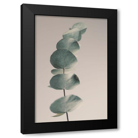 Fragrant Leaves Ll Black Modern Wood Framed Art Print with Double Matting by Westum, Heidi