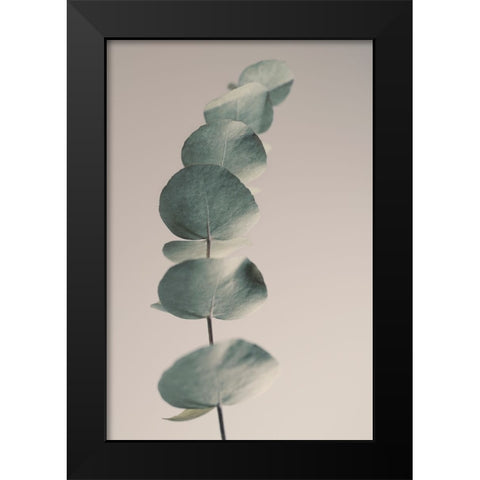 Fragrant Leaves Ll Black Modern Wood Framed Art Print by Westum, Heidi