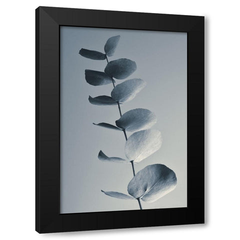 Fragrant Leaves Black Modern Wood Framed Art Print with Double Matting by Westum, Heidi