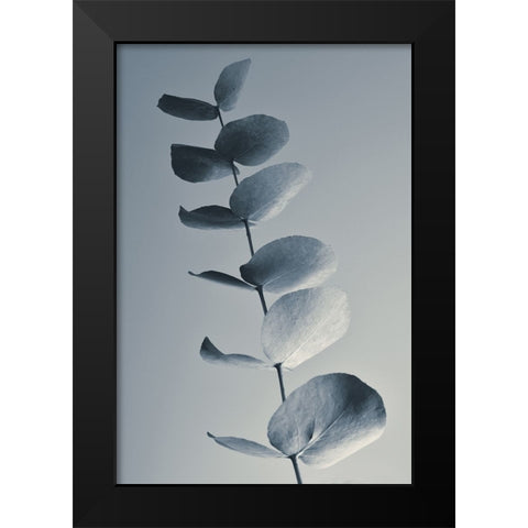 Fragrant Leaves Black Modern Wood Framed Art Print by Westum, Heidi