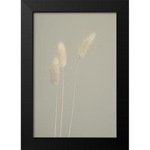 Pale Trio Black Modern Wood Framed Art Print by Westum, Heidi