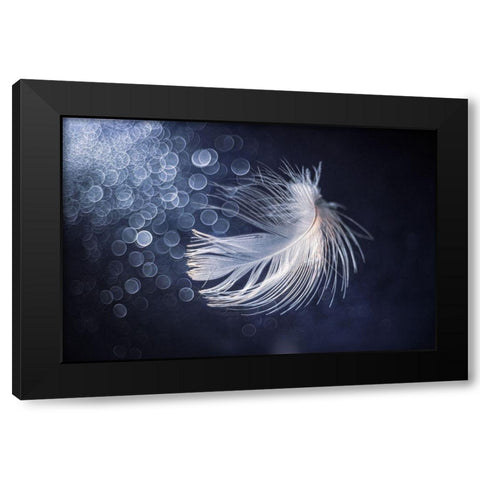 Placidity Black Modern Wood Framed Art Print with Double Matting by Kopcev, Igor