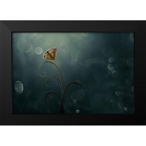 Butterfly In The Morning With Bokeh Black Modern Wood Framed Art Print by Pamungkas, Edy