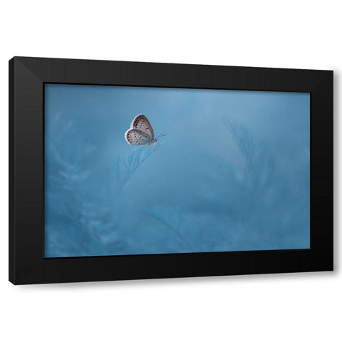 Waiting Black Modern Wood Framed Art Print by Pamungkas, Edy