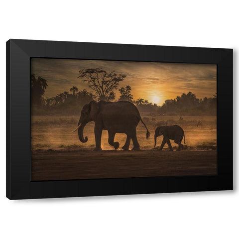 Follow Me Black Modern Wood Framed Art Print by Telhami, Isam