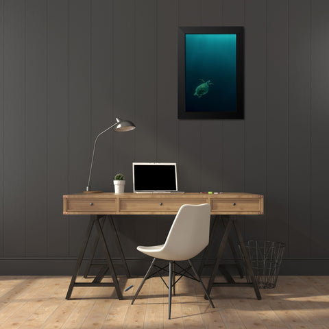 The Fly Of The Hawksbill Black Modern Wood Framed Art Print by Melesan, Serge