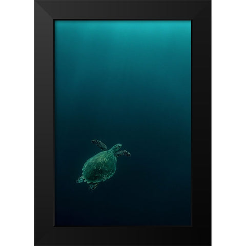 The Fly Of The Hawksbill Black Modern Wood Framed Art Print by Melesan, Serge