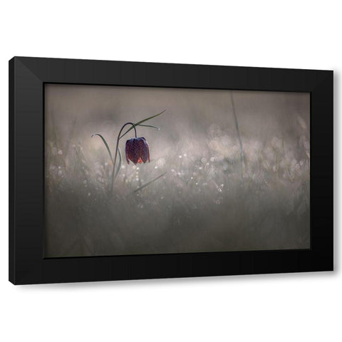 Pactillant Black Modern Wood Framed Art Print with Double Matting by Blomme, Sebastien