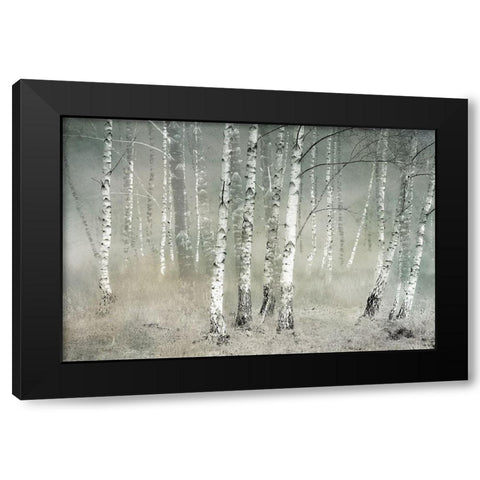 Morning Silence Black Modern Wood Framed Art Print by Talen, Nel