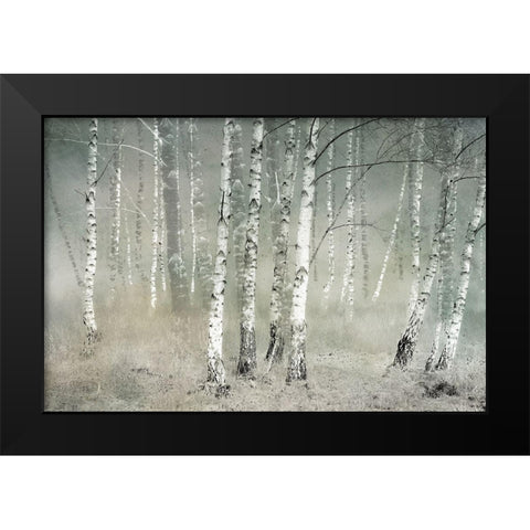 Morning Silence Black Modern Wood Framed Art Print by Talen, Nel