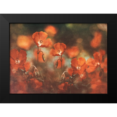 Floral Art In Red Black Modern Wood Framed Art Print by Georgieva V, Nikki