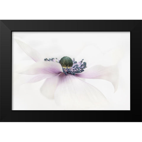 Simplicity Black Modern Wood Framed Art Print by Parker, Jacky