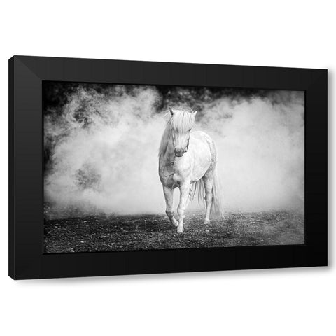 Icelandic Pony Black Modern Wood Framed Art Print with Double Matting by C. Sink, Jeffrey