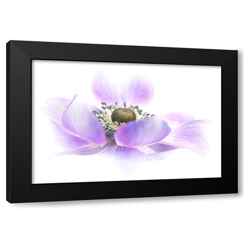 Voile Black Modern Wood Framed Art Print with Double Matting by Parker, Jacky