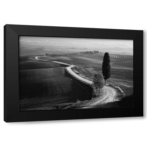 Morning In The Field Black Modern Wood Framed Art Print with Double Matting by Anton, Rostovskiy