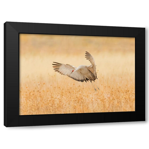 Untitled Black Modern Wood Framed Art Print with Double Matting by Wang, Qingsong