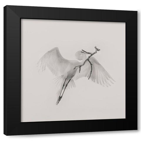 A Good One Black Modern Wood Framed Art Print by Zhao, Qing