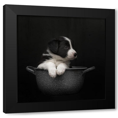The New Dishwasher Took His Job Very Serious Black Modern Wood Framed Art Print with Double Matting by Van Den, Gert