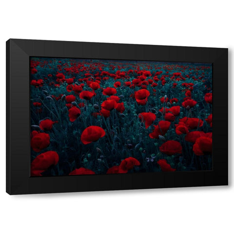 Symphony Of Flowers Black Modern Wood Framed Art Print with Double Matting by Kazamil, Farid