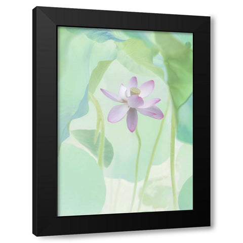 Lotus Flower Black Modern Wood Framed Art Print by L., Binbin
