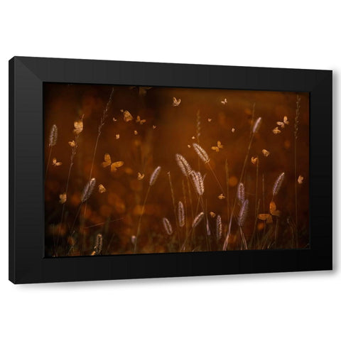 Love Is In The Air Black Modern Wood Framed Art Print with Double Matting by Kiral, Cicek