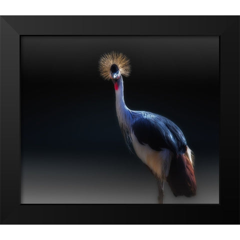 crane Black Modern Wood Framed Art Print by Kamera