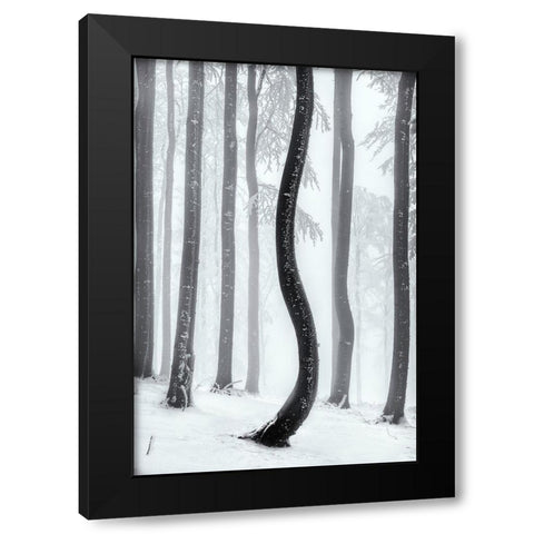 Dancing Tree Black Modern Wood Framed Art Print with Double Matting by Pavlasek, Tom