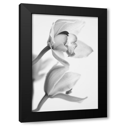 Orchid Black Modern Wood Framed Art Print with Double Matting by Mandich, Igor