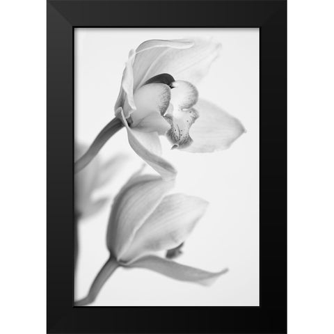 Orchid Black Modern Wood Framed Art Print by Mandich, Igor