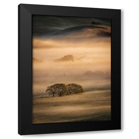Morning Fog Black Modern Wood Framed Art Print by Zheng, Michael