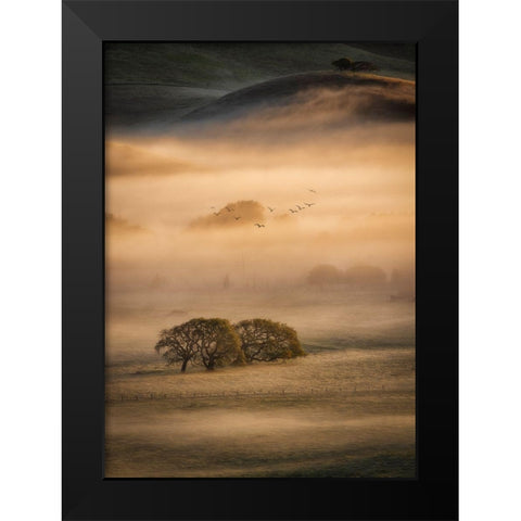 Morning Fog Black Modern Wood Framed Art Print by Zheng, Michael