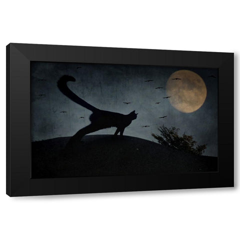 the curious tail of the cat filemon... Black Modern Wood Framed Art Print by Fabrowski, Robert