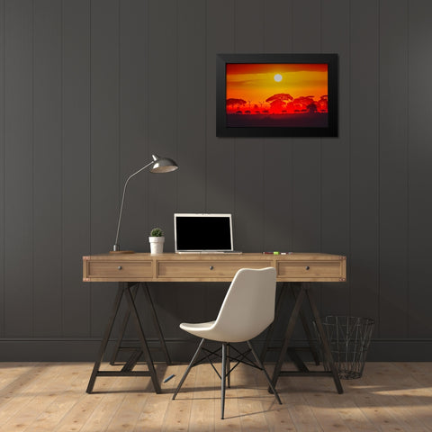 Amboseli Sunrise Black Modern Wood Framed Art Print by C. Sink, Jeffrey