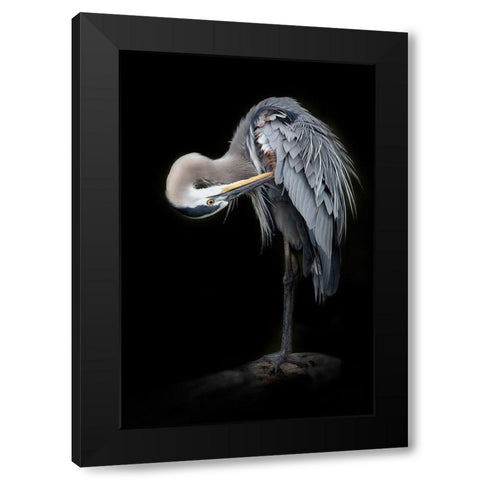 The Great Blue Heron Black Modern Wood Framed Art Print by D Lester, Linda