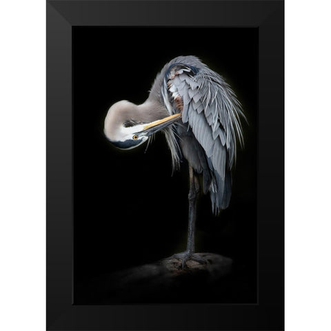 The Great Blue Heron Black Modern Wood Framed Art Print by D Lester, Linda