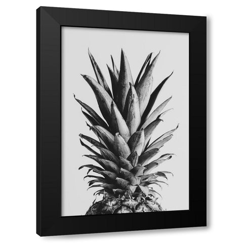 Pinapple Black a White 05 Black Modern Wood Framed Art Print with Double Matting by 1x Studio III