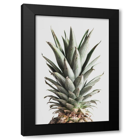 Pineapple Natural 02 Black Modern Wood Framed Art Print with Double Matting by 1x Studio III