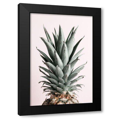 Pineapple Natural Tint Black Modern Wood Framed Art Print with Double Matting by 1x Studio III