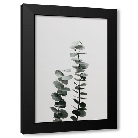 Eucalyptus Natural 03 Black Modern Wood Framed Art Print by 1x Studio III