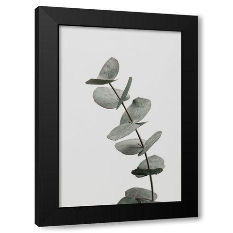 Eucalyptus Natural 06 Black Modern Wood Framed Art Print by 1x Studio III