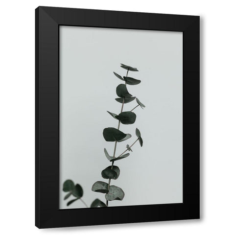Eucalyptus Natural 10 Black Modern Wood Framed Art Print with Double Matting by 1x Studio III