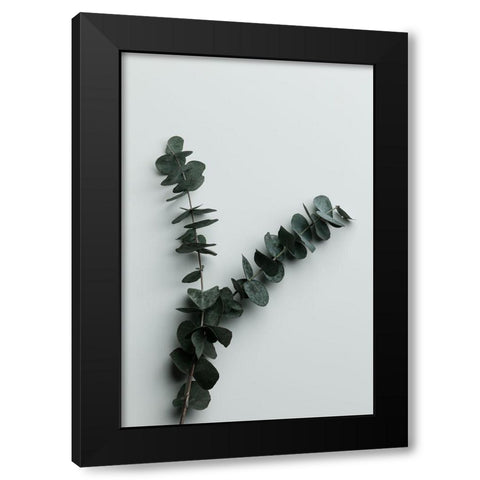 Eucalyptus Wall 02 Black Modern Wood Framed Art Print by 1x Studio III