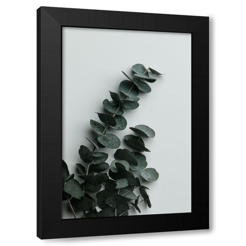 Eucalyptus Wall 01 Black Modern Wood Framed Art Print by 1x Studio III