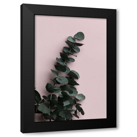 Eucalyptus Pink No02 Black Modern Wood Framed Art Print by 1x Studio III