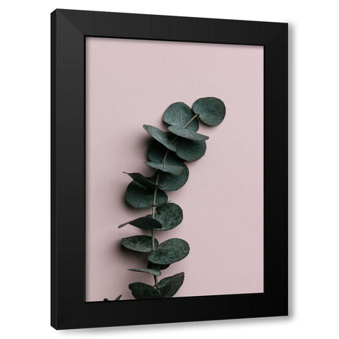 Eucalyptus Pink No 01 Black Modern Wood Framed Art Print with Double Matting by 1x Studio III