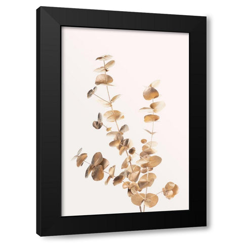 Eucalyptus Gold No 04 Black Modern Wood Framed Art Print with Double Matting by 1x Studio III